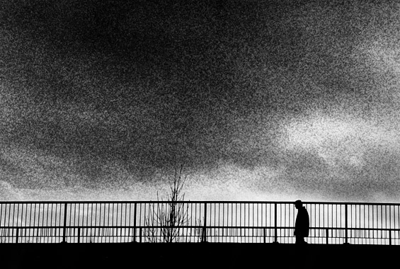 Regent's Canal bridge Bow, 1992