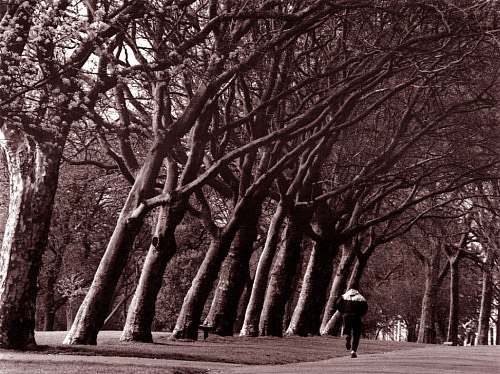 Runner, Victoria Park, Bow, 1990