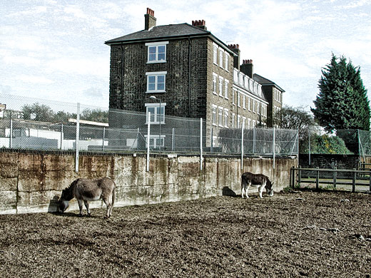 Spitalfields City Farm, March 2002