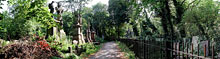 Tower Hamlets Cemetary, July 2002