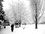 Snow storm, Bethnal Green Gardens, Jan 2003
